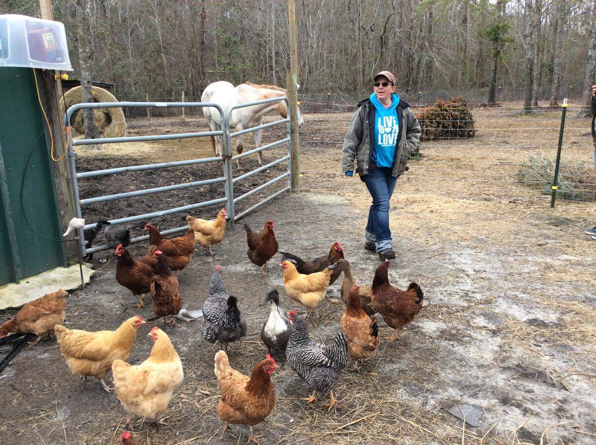 Stephanie Kramer saved all her animals when Hurricane Florence flooded her home in Pender County. Now she’s trying to figure out how to rebuild.