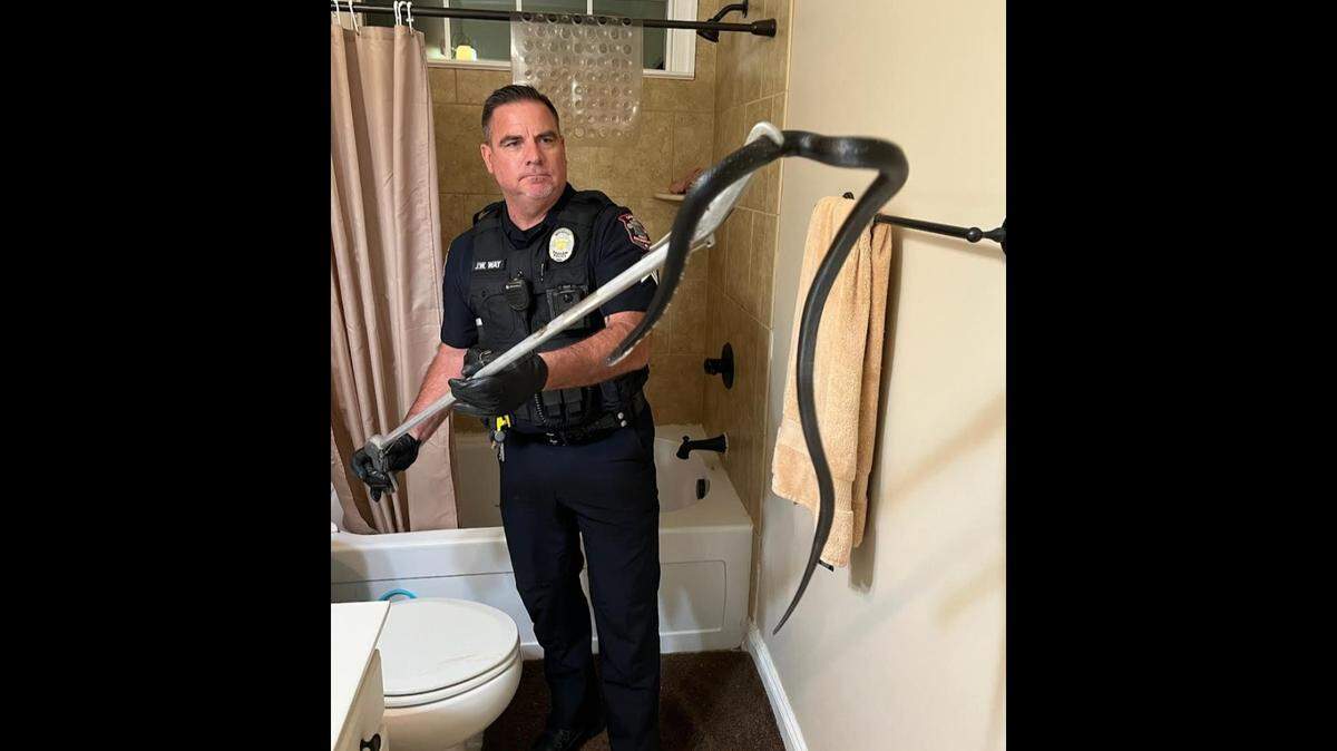 “The caller was unsure how the trespasser had gotten inside and was surprised to discover the slippery suspect in the bathroom,” the Graham Police Department said on its Facebook post.
