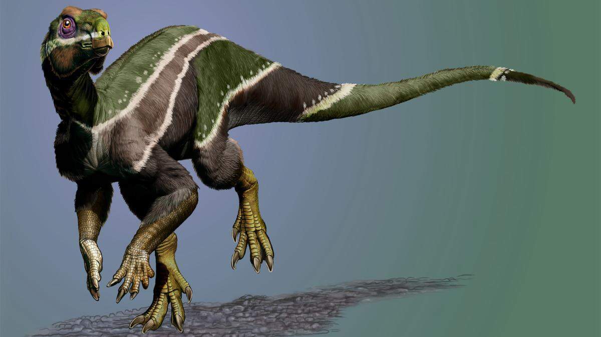 A reconstruction of a juvenile Iani smithi.