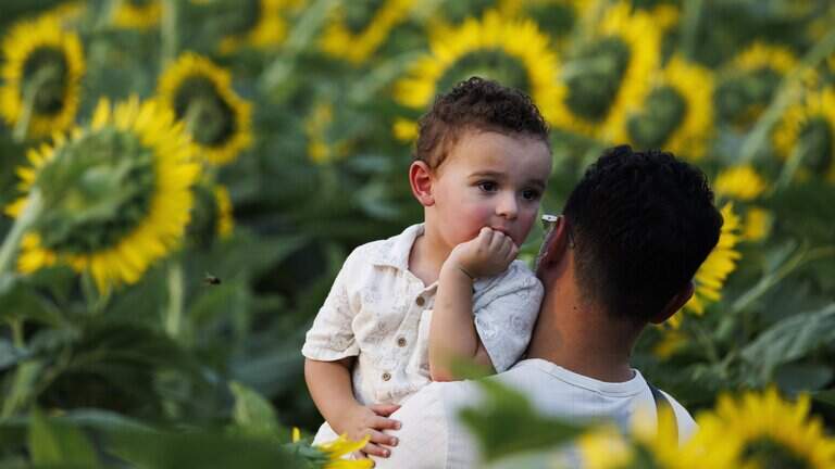 Sunflowers at Dix Park and the heat: The week’s best photos from our photojournalists