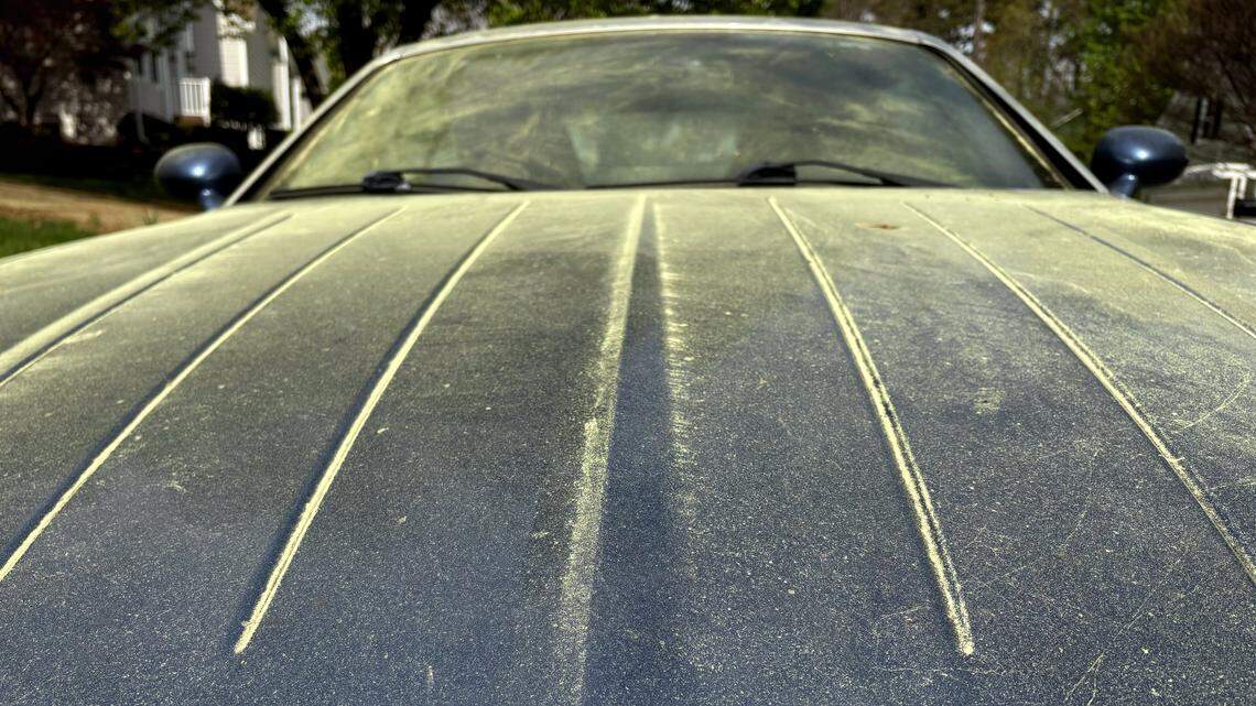 Pollen in SC will likely get worse before it gets better. Here’s what’s happening