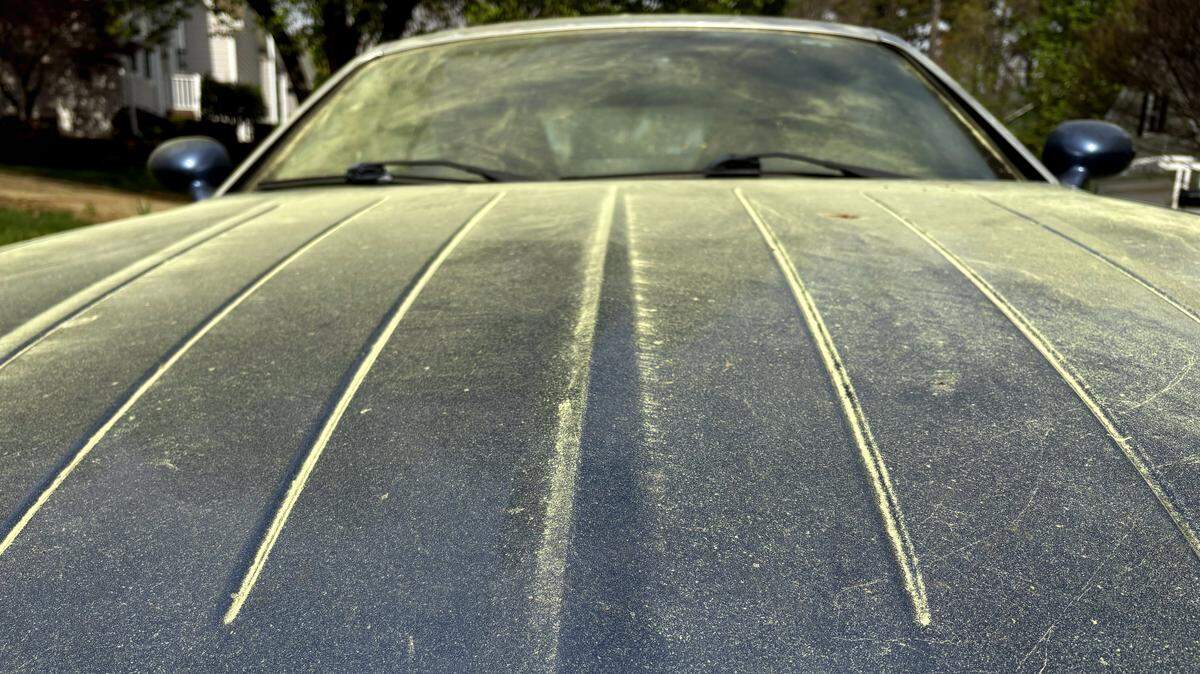 Pollen coats the hood and windshield of a car.