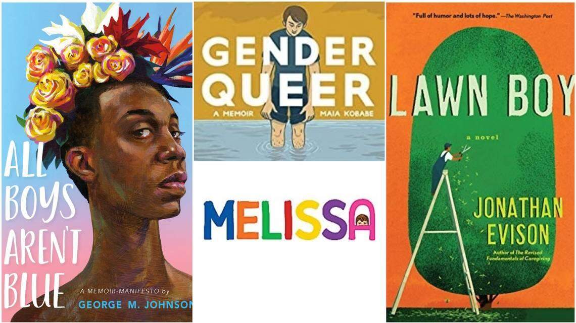 NC Lt. Gov. Robinson and some parents want to get books featuring LGBTQ+ protagonists out of school libraries.