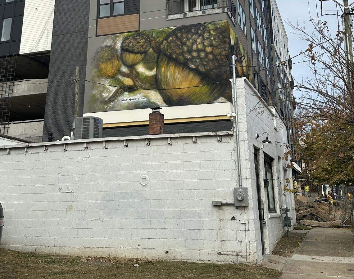 Little Native, a new Raleigh coffee shop from the owners of Cloche Coffee, will open on Person Street in Raleigh.