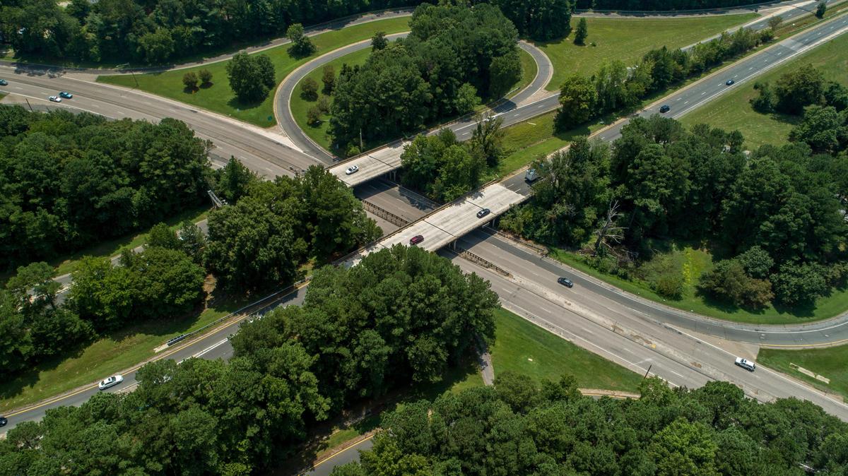 Wooded surround the interchange of the I-440 Beltline and Western Boulevard in Raleigh Tuesday, August 6, 2019. Work begins this week with the cutting of trees around the Wade Avenue and Western Boulevard interchanges. The highway will be widened from four lanes to six.