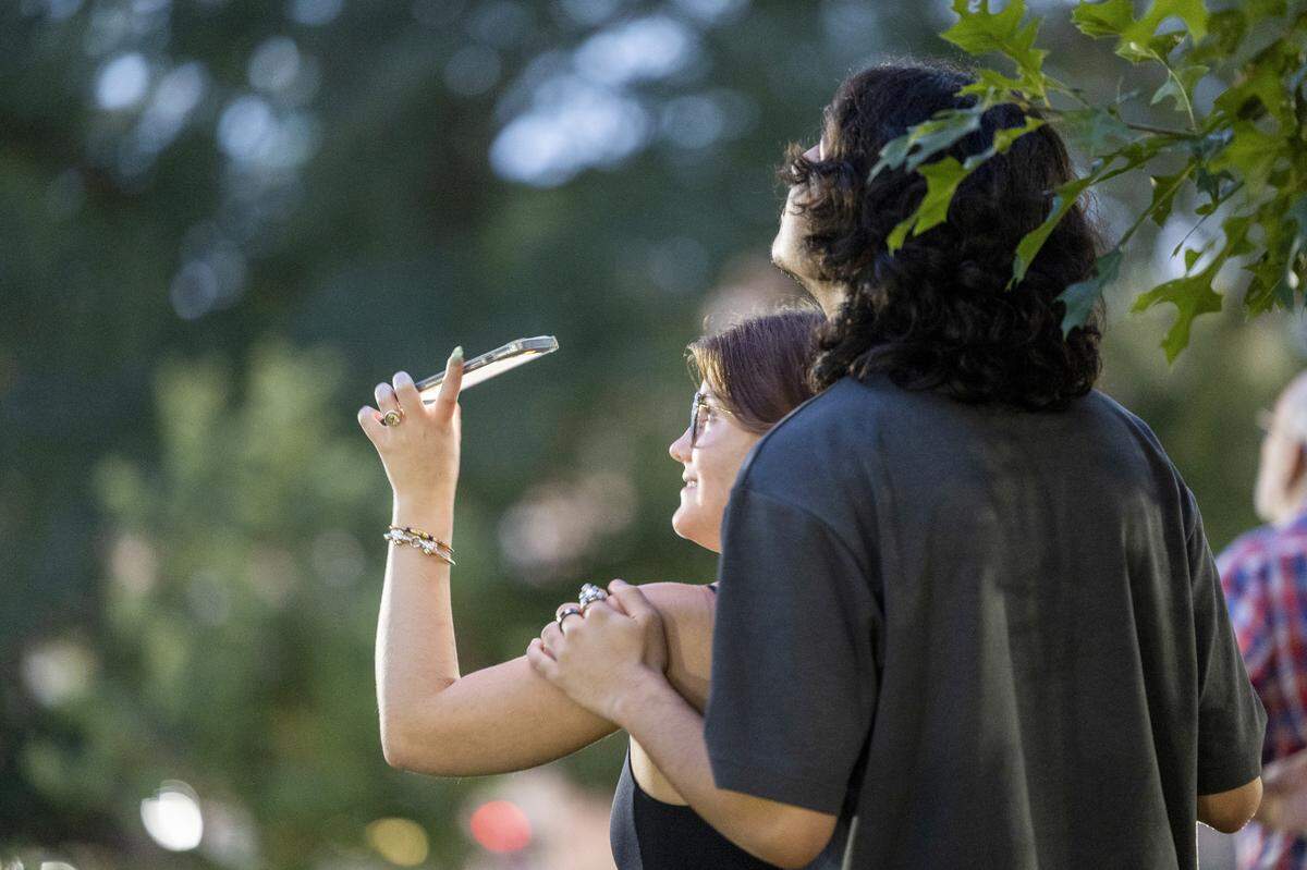 Spectators watch as chimney swifts circle above UNC-Chapel Hill’s McCorkle Place before roosting into a cavity inside the iconic Davie Polar tree on Wednesday, Sept. 18, 2024.