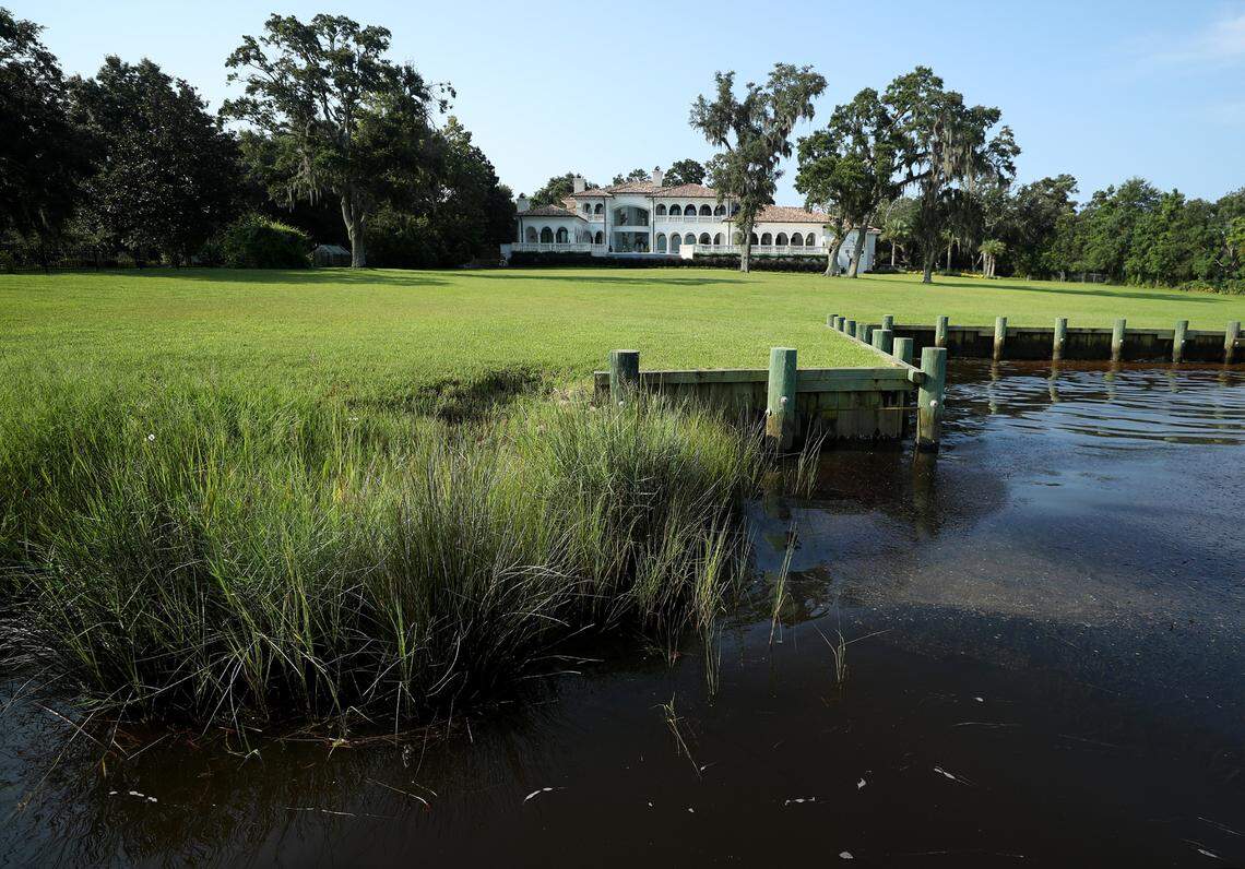 A residential property on the Back Bay of Biloxi shows the visual difference between a bulkhead, right, and a living shoreline of marsh grass, left.