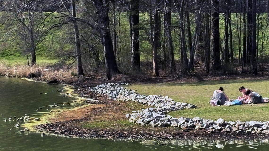 NC’s pollen is going to get worse before it gets better. The yellow timeline