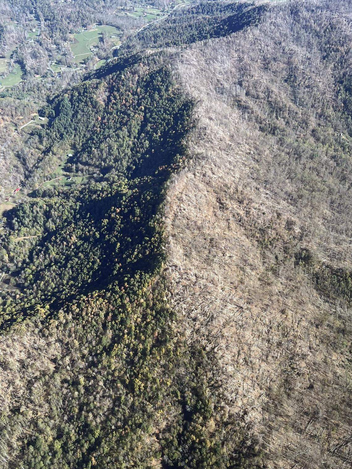 The N.C. Forest Service found that timber on south-facing slopes saw the worst damage during Helene. The agency expects a busy fire season ahead and says wildfires could be bigger because remote areas will be harder to reach.