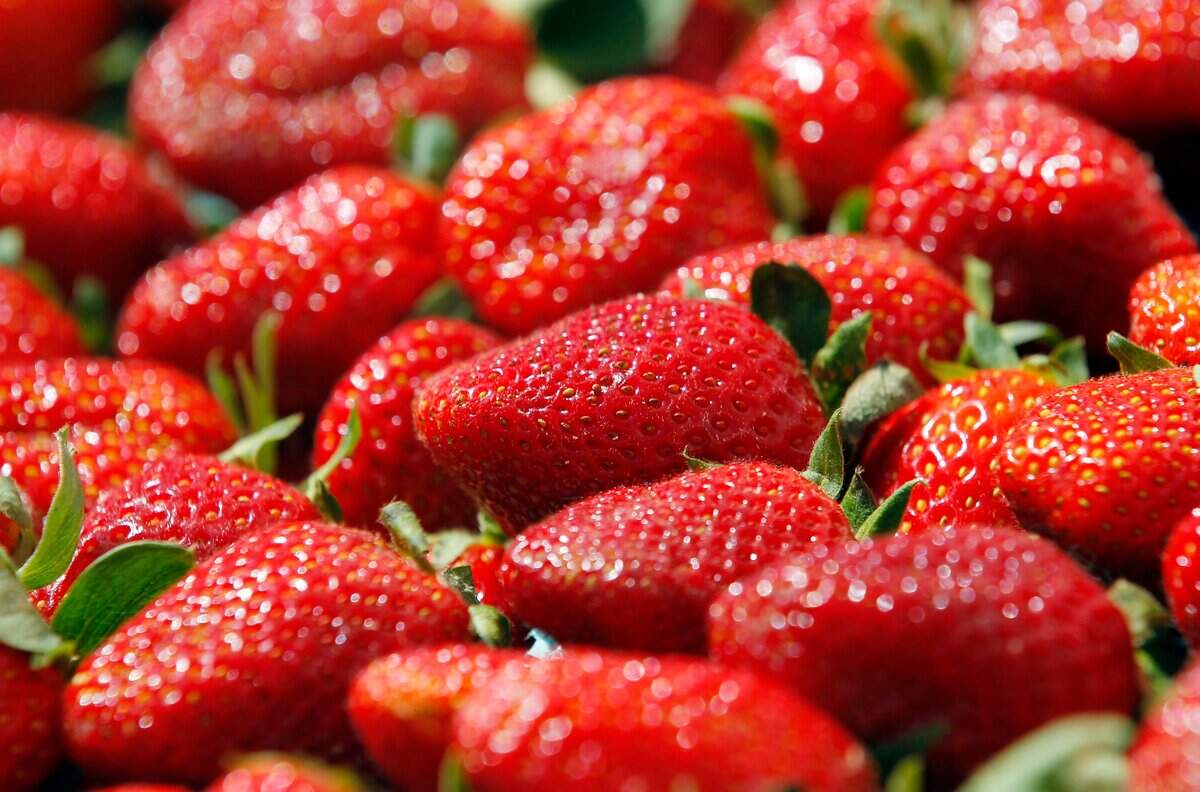 Farmers markets are considered essential businesses under North Carolina’s stay-at-home order, but keep 6 feet apart and follow the markets’ rules for safety.