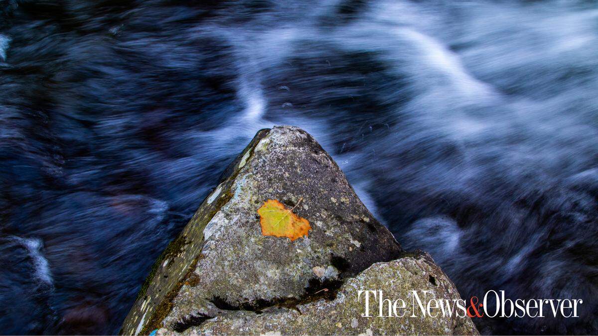 Macon County, N.C.