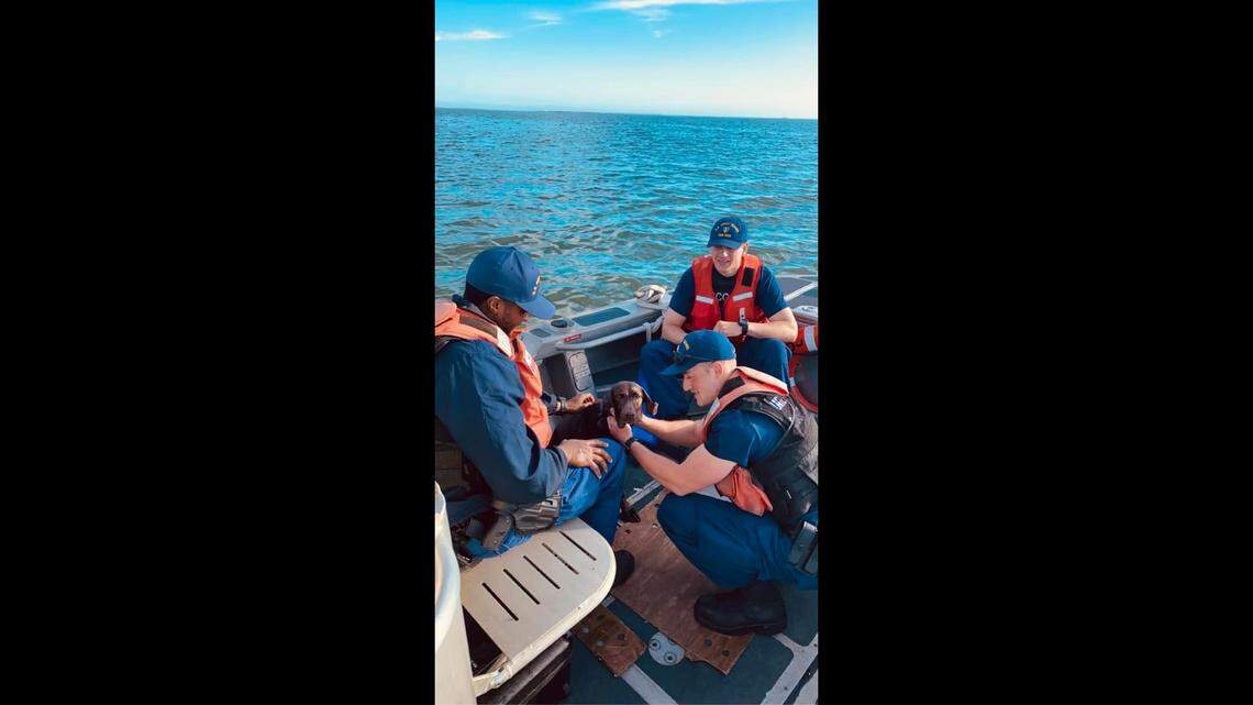 Video of the rescue has been viewed 129,000 times since being posted on Facebook. It shows Myla was wide-eyed and likely in a state of panic when she reached the side of the boat.