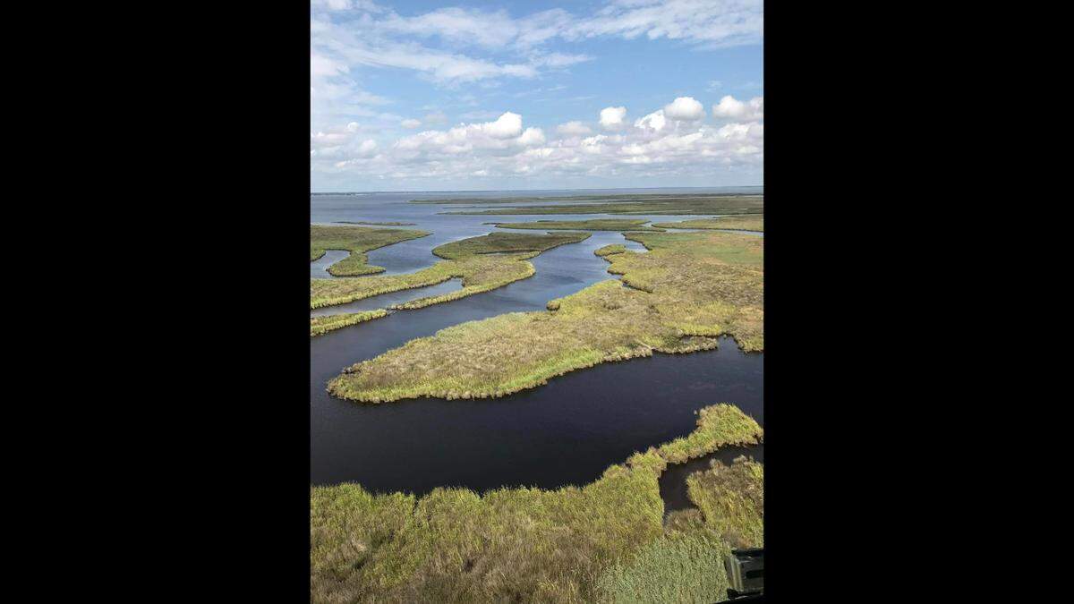 The Corolla Wild Horse Fund manages a heard of about 101 horses spread in an area that is “marshy, swampy, and difficult to navigate.”