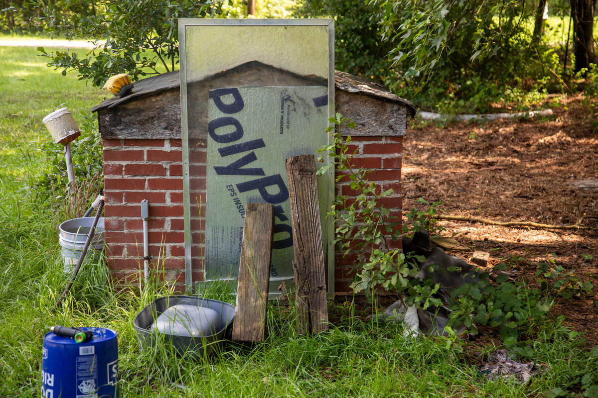 Animals on Debra Stewart’s Gray’s Creek farm drink well water. A horse and a dog belonging to Stewart were found to have elevated levels of PFAS chemicals in their blood according to a study by Scott Belcher, an N.C. State environmental science professor.