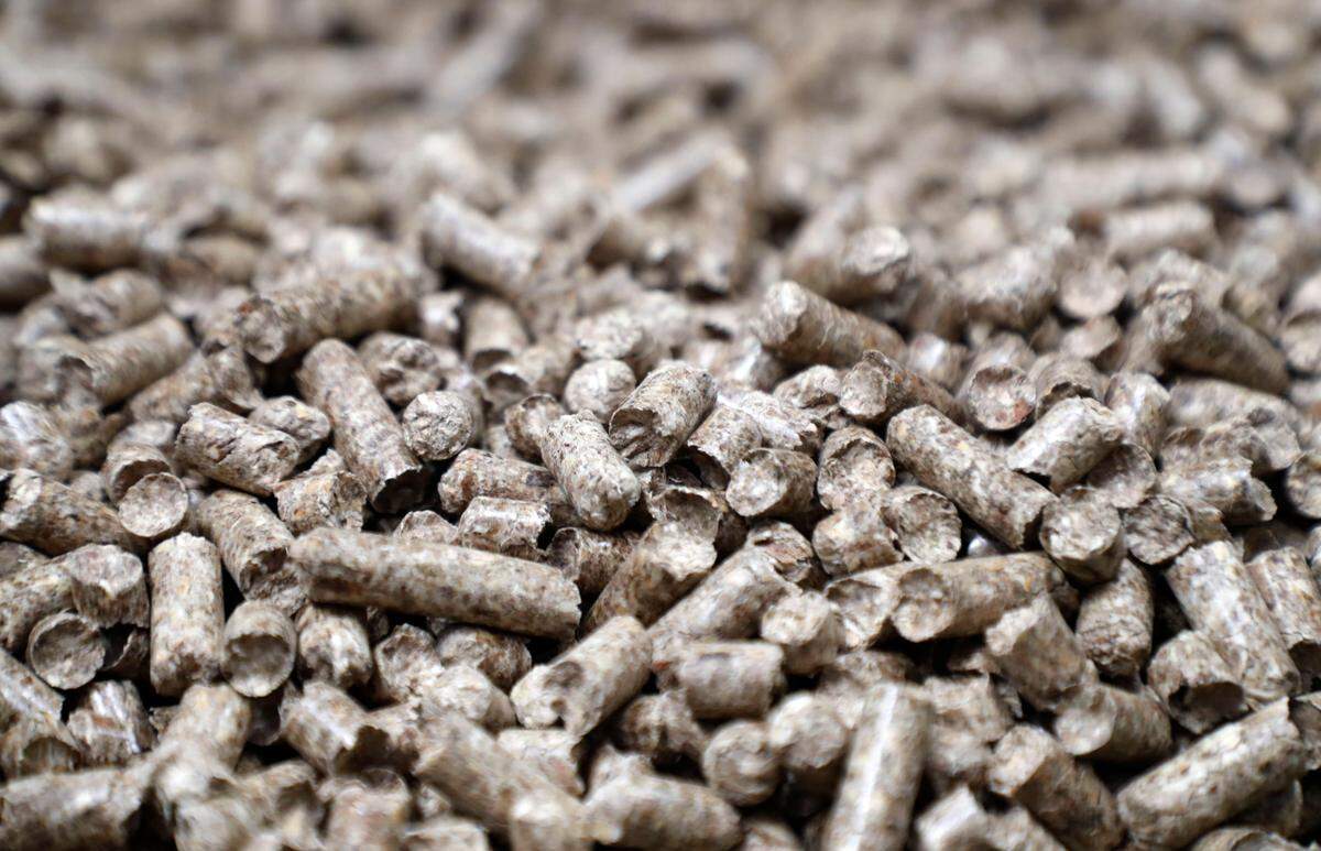 Wood pellets produced at the Enviva plant in Northampton County, N.C., seen on Tuesday, Sept. 3, 2019. Enviva is the world’s largest producer of wood pellets.