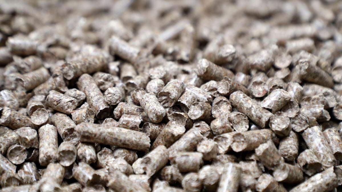 Slow Burn: Europe uses tons of NC trees as fuel. Will this solve climate change?