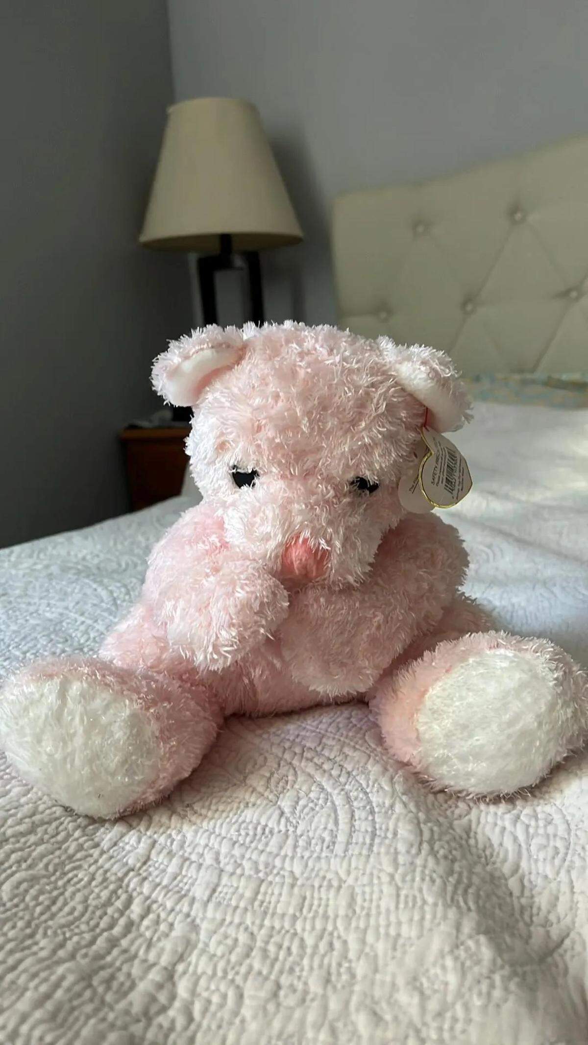 Pinky, lost in Morrisville, at a younger age