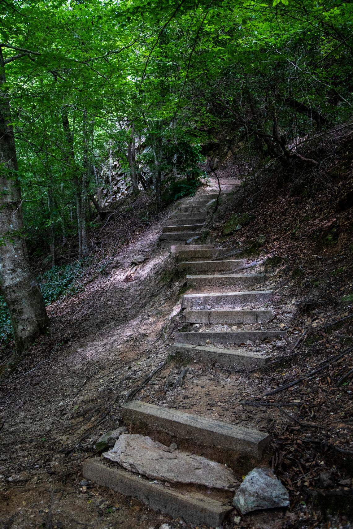 A section of the Mountain Loop Trail at Occoneechee Mountain State Natural Area in Hillsborough.