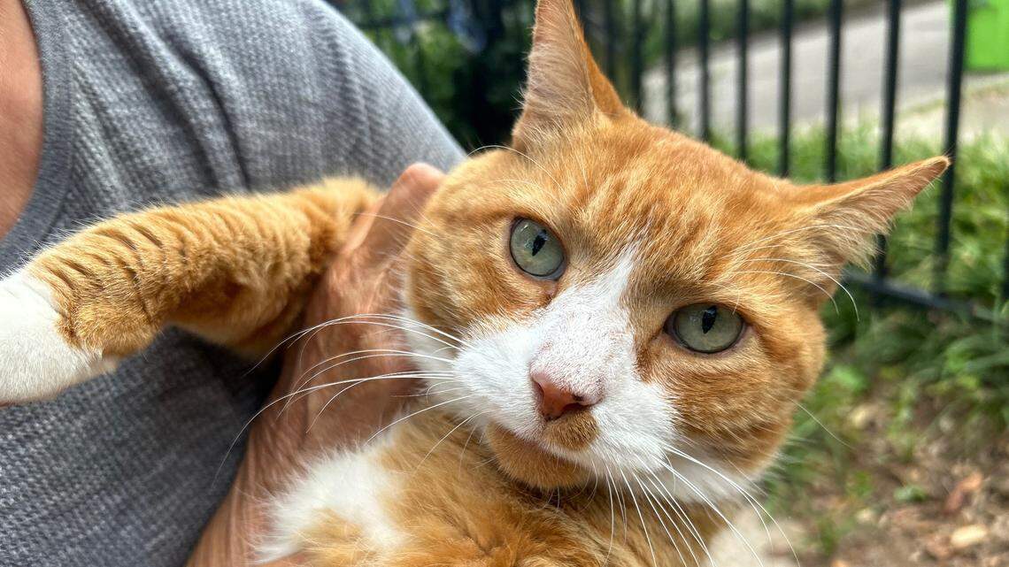 Unexpected candidate emerges for Raleigh mayor, and he’s got bi-pawtisan support