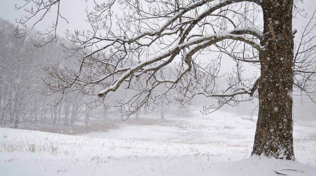 A snowy scene along the Blue Ridge Parkway, which could be one of the few places in North Carolina to get snowfall over Christmas. An El Niño is expected to bring more precipitation across the Southeast than normal this winter, but temperatures may not get cold enough in most places to turn that to snow.
