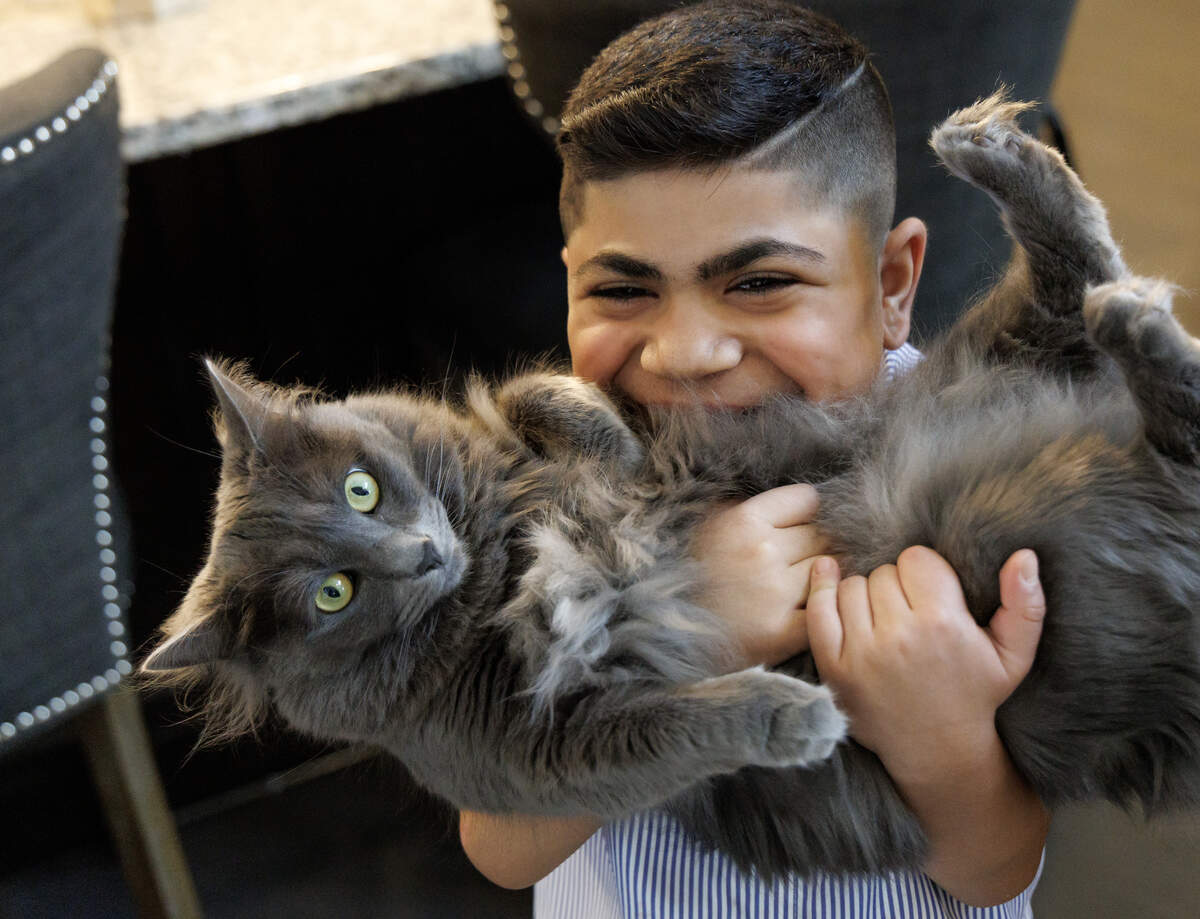 Saleh Ahmad, 8, with his family’s cat, Penny.
