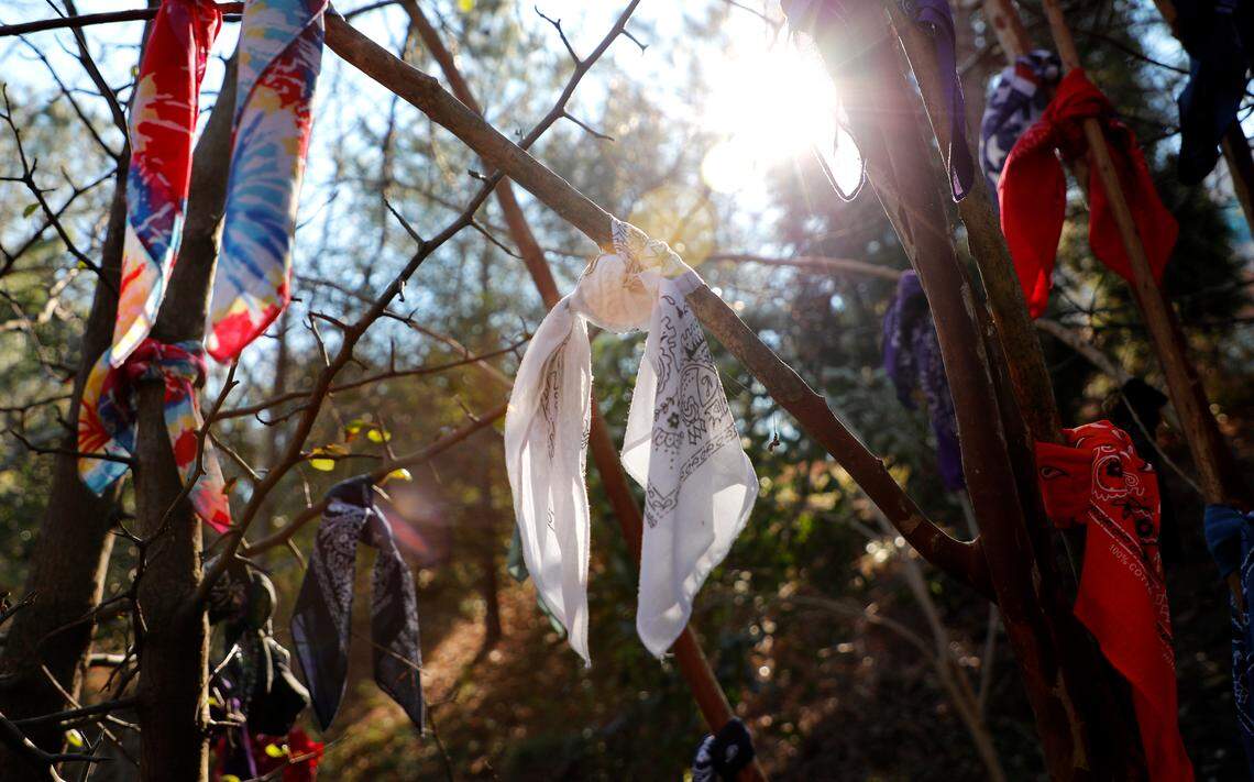 Bandanas are tied to a tree January 25, 2019, near where Drew Browne’s body was found as a memorial for him. Browne’s body was found near Martin Middle School in Raleigh, N.C., more than 4 1/2 years after he ran off into the woods behind his parent’s home in May 2014.