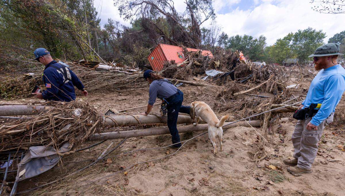 A FEMA search and rescue team from California search for flood victims using a human remains dog named “Rubble” in Swannanoa on Sunday, Oct. 6, 2024 after Tropical Storm Helene flooded the Swannanoa River. North Carolina officials have confirmed 76 deaths from Tropical Storm Helene.