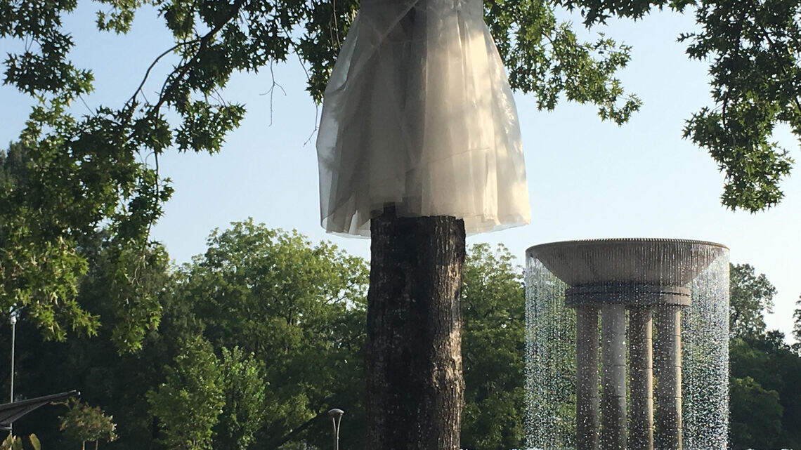 ‘Why are the trees wearing tutus? That’s the question.’ This Cary art is turning heads.