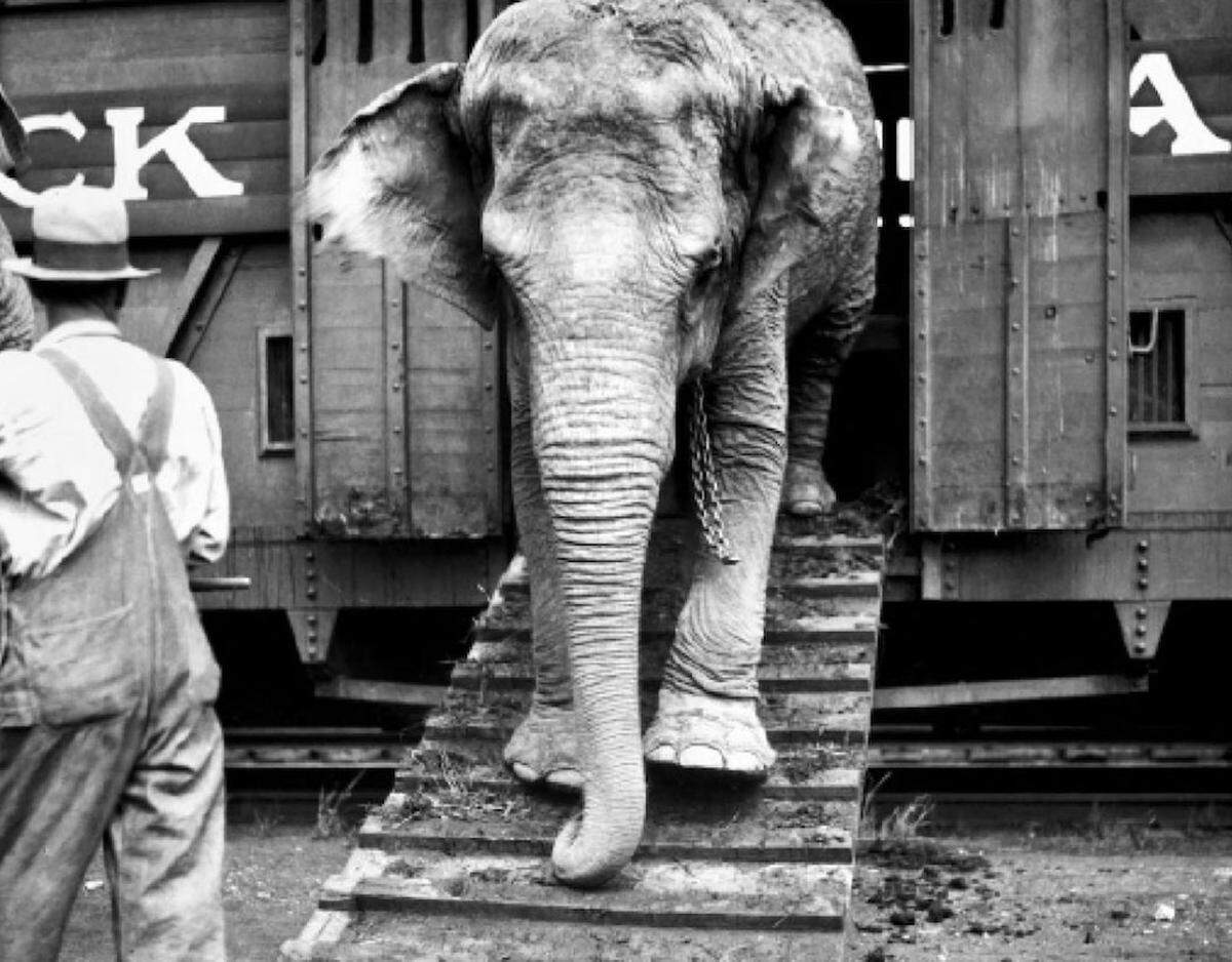 Courtesy of the Circus World Museum/Wisconsin Historical Society