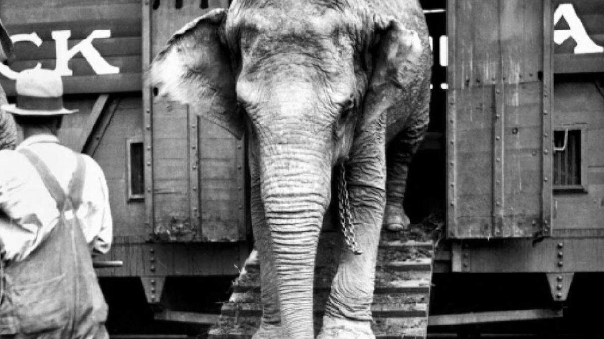 Courtesy of the Circus World Museum/Wisconsin Historical Society