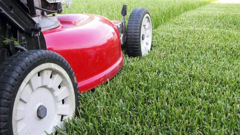 Apex may end grass-clippings pickup. What do other Wake towns do?