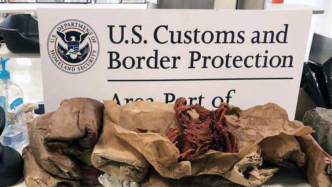 U.S. Customs and Border Protection said authorities discovered 110 pounds of prohibited cow skins and dried beef at an airport in Virginia earlier this month.