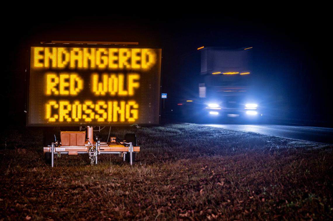 A sign on U.S. 64 outside Manteo warns motorists to watch for endangered red wolves.