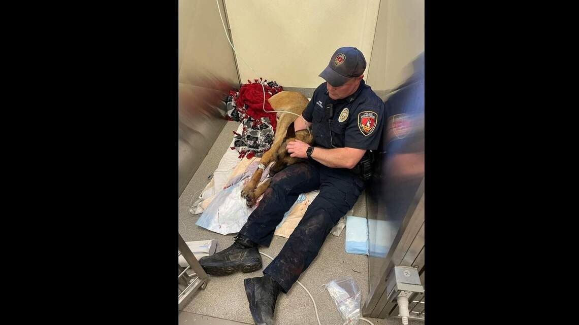 Durham DA and chief defend the probation sentence of the man who shot a police dog