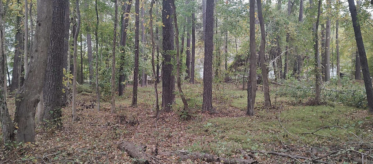 3944 Barwell Rd., Raleigh, 27610