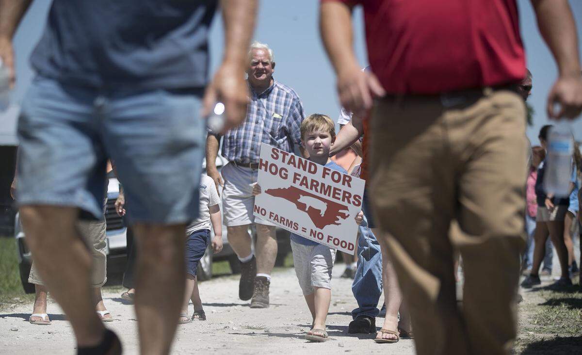 Five-year-old Jase Knowles leaves a rally and press conference in support of family farms with a sign for his yard on Tuesday, July 10, 2018 at Joey Carter's farm in Duplin County near Beulaville, N.C. Hundreds of people gathered on the Carter farm near Beulaville to show their support for farmers and hear from North Carolina Lt. Governor Dan Forest and Commissioner of Agriculture Steve Troxler.
