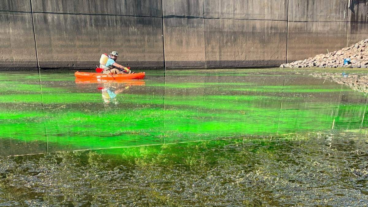 Visitors to B. Everett Jordan Lake may encounter freakishly green water, and the U.S. Army Corps of Engineers says it is responsible for the alarming development.