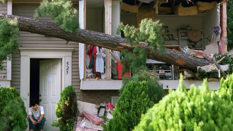 30 years ago, Hurricane Fran devastated North Carolina — Today in Triangle History