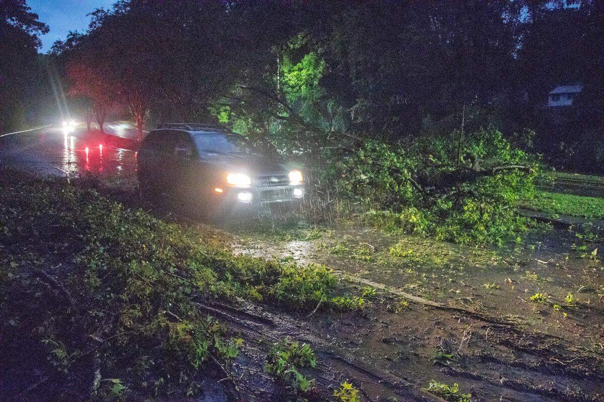 Cars navigate around a fallen tree on Raleigh Boulevard as the remnants of Hurricane Michael pass through Raleigh, N.C.  Thursday, Oct. 11, 2018. Downed trees blocked roads and more than 1200 homes and businesses were without power in Raleigh Thursday evening.