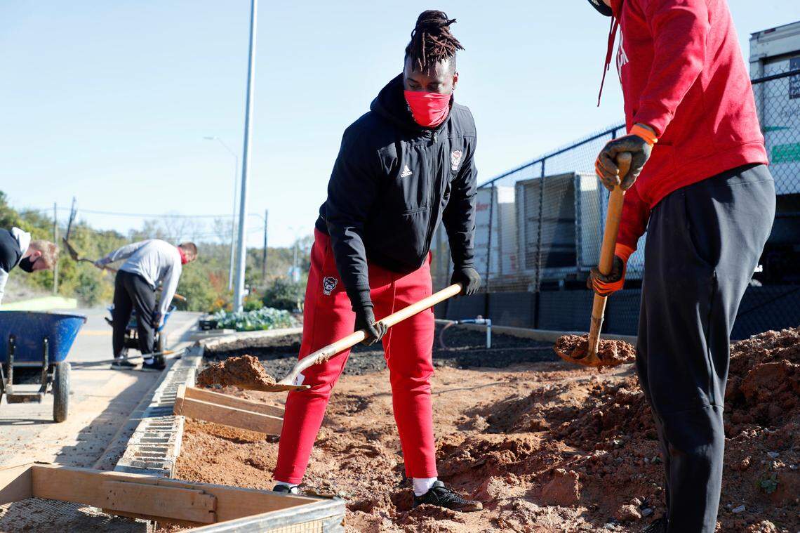 N.C. State football defensive end Terrell Dawkins volunteers at the Food Bank of Central & Eastern North Carolina in Raleigh, N.C., Tuesday, Nov. 3, 2020. Many N.C. State student-athletes, who had election day off, spent time Tuesday volunteering at the community and demonstration garden.