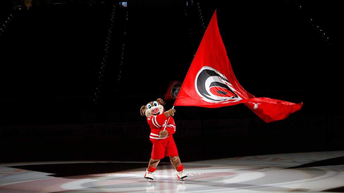 Why is the Carolina Hurricanes mascot a pig? We have the whole Stormy story