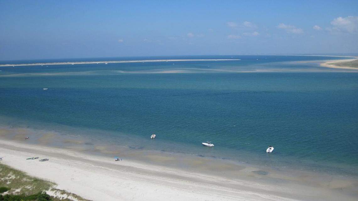 Stunning yellow-eyed creature returns for 21st year to Outer Banks, NC park says