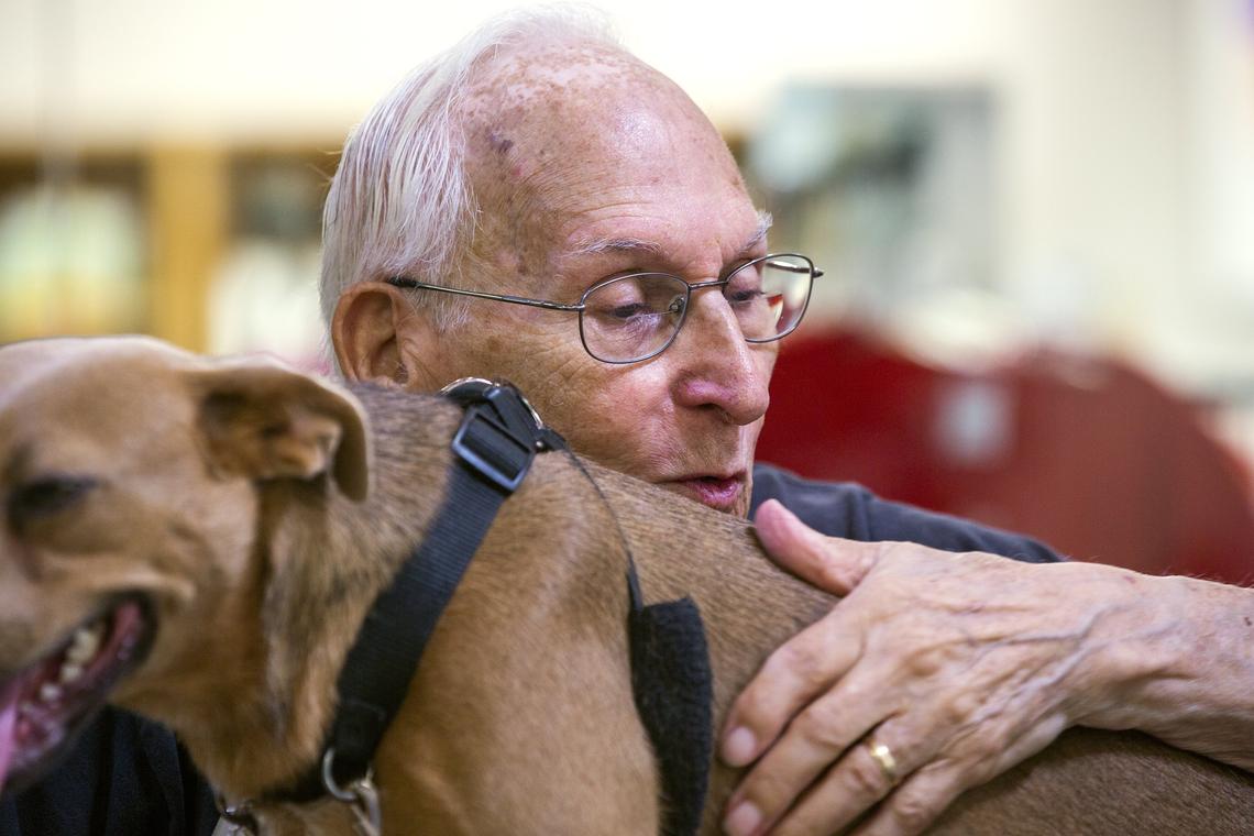 Jerry Kroll, 85, sits in the lobby of the SPCA of Wake County in Raleigh, N.C., on Friday, June 22, 2018, with a “Jerry Dog,” as the staff now affectionately calls them. Kroll is a volunteer who brings hard-to-adopt dogs out to the lobby every weekend to help them perk up and hopefully find a home. After 11 years, he has helped over 300 dogs get adopted.
