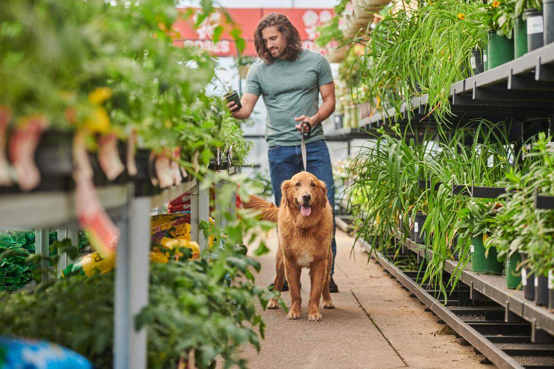 The new Tractor Supply Co. in Zebulon features a garden center and pet wash.