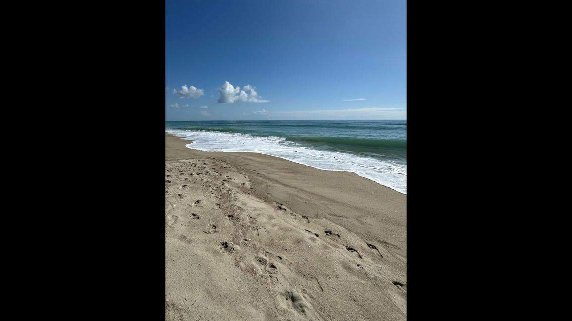 The humpback whale came ashore late March 28, near the town of Indian Beach on North Carolina’s Crystal Coast, researchers say.