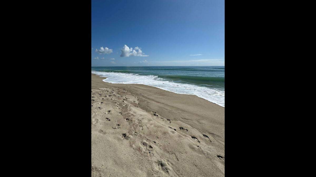 The humpback whale came ashore late March 28, near the town of Indian Beach on North Carolina’s Crystal Coast, researchers say.