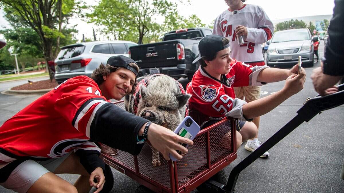 Micah Patchin, left, and Austin Davis pose for selfies with Hamilton the Pig prior to Game 1 of the Stanley Cup Playoffs against the Nashville Predators at PNC Arena Monday, May 17, 2021.