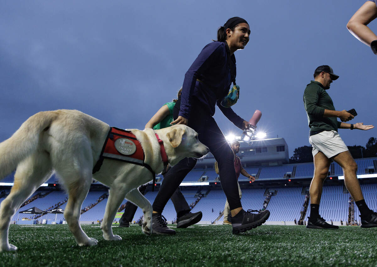 Chloe Aui, center, walks with Frankie, a Labrador Retriever who is the facility dog for the Chapel Hill Police Department, during a stair climb at Kenan Memorial Stadium on Thursday, Sept. 11, 2025, to honor those who lost their lives during the attacks of Sept. 11, 2001.
