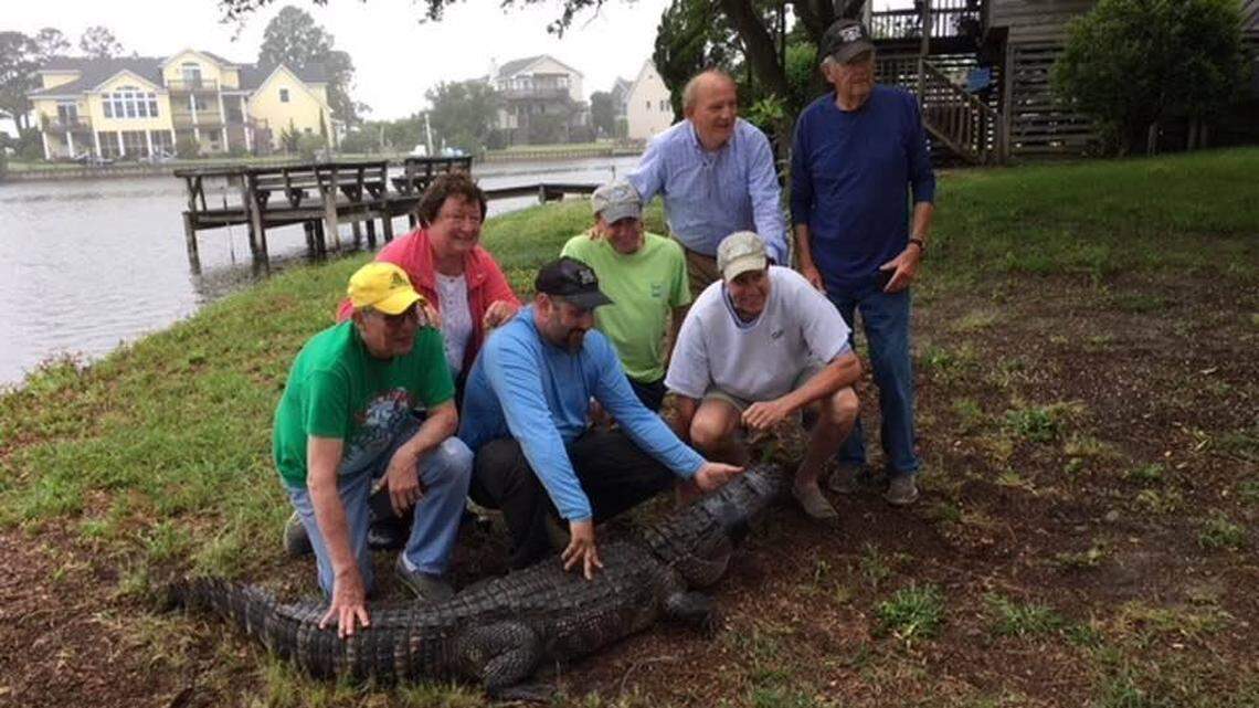 Kitty Hawk, NC police need help identifying the people in this photo of an alligator spotted in a canal on May 7, 2018.
