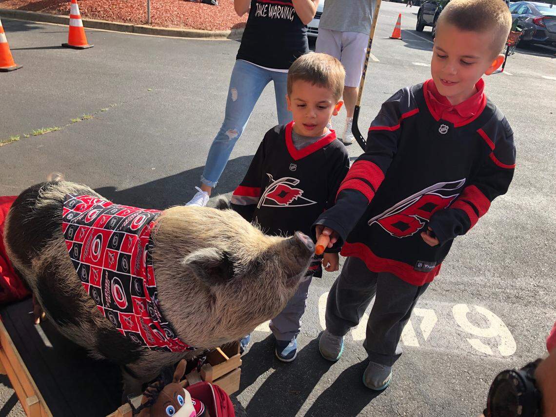 Brothers Bryce (left), 4, and Landon, 7, of Cary feed a carrot to Hamilton the Pig before Game 3 of the Eastern Conference Finals game against the Boston Bruins in Raleigh, May 14, 2019.